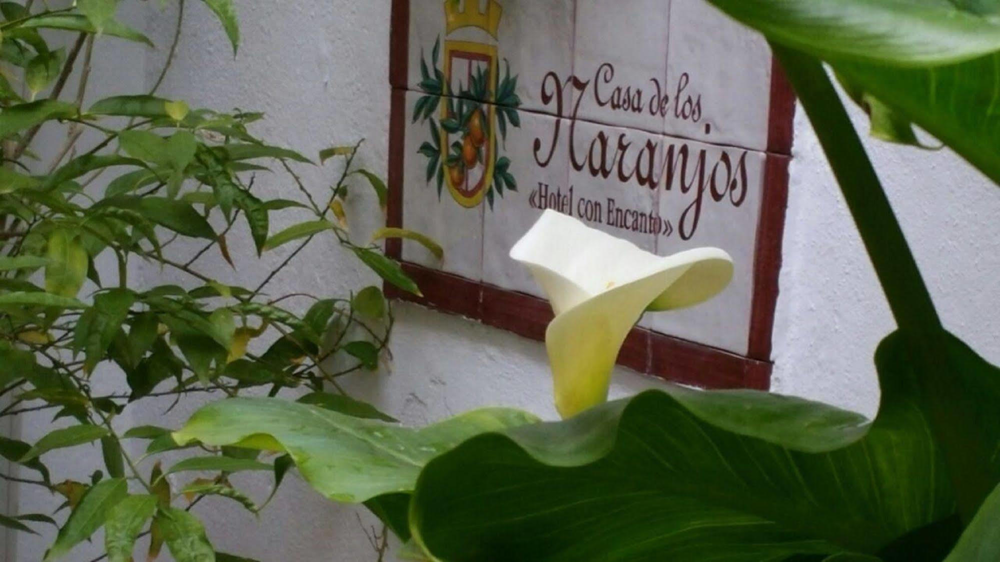 Hotel Boutique Puerta Del Rincon Cordoue Extérieur photo
